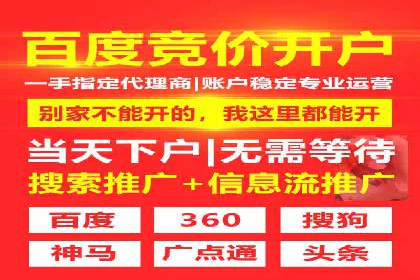 SEM托管服务实战案例：打造高效广告投放策略